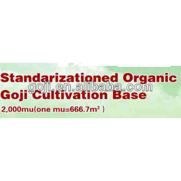 Organic Goji